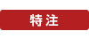 特注
